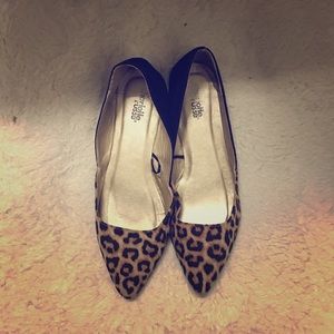 Cheetah Flats